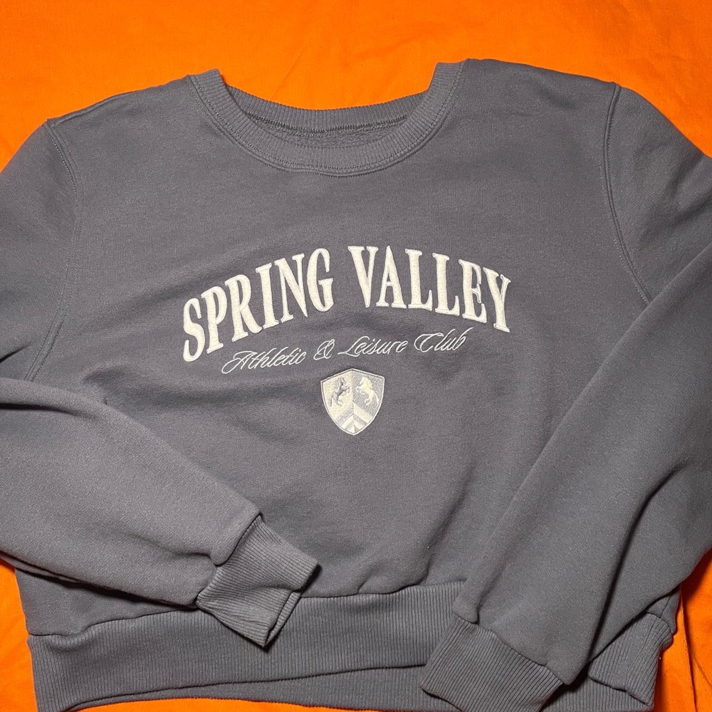 Women’s Hollister California Blue Cropped Sweatshirt Size L Preowned